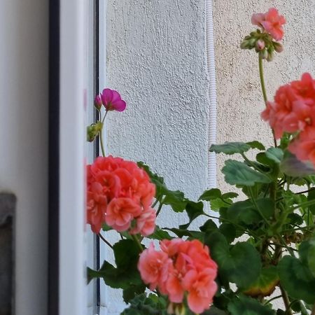 Miruna Διαμέρισμα Κονστάντζα Εξωτερικό φωτογραφία
